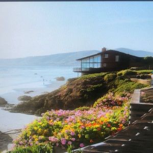 Meet your Posher, Bobbie